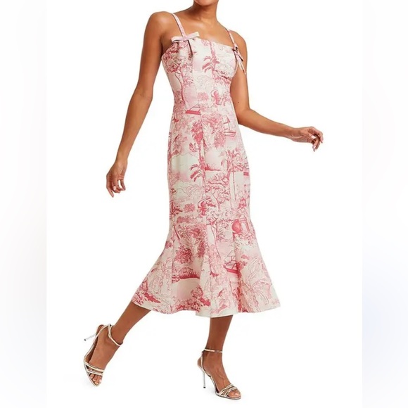 Mestiza New York Dresses & Skirts - Mestiza New York Calista Midi Dress 10 Pink/Ivory Tropical Toile NWT